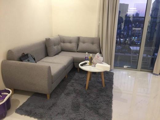 apartment for rent in Binh Thanh district  BT105L541(1)